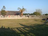 dsc00916.jpg