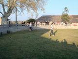 dsc00917.jpg