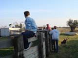 dsc00920.jpg
