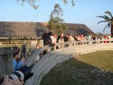 dsc00921.jpg