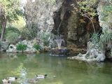 dsc00968.jpg
