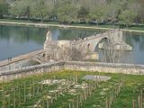 dsc00971.jpg