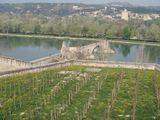 dsc00972.jpg