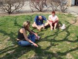 dsc00984.jpg
