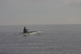 img_4339.jpg