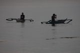 img_4441.jpg