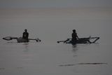 img_4442.jpg