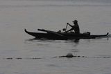 img_4462.jpg