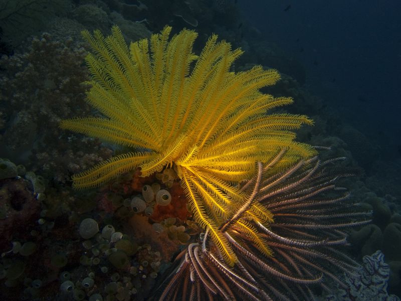 crw_1722.jpg