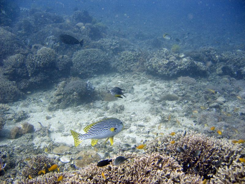 crw_1779.jpg