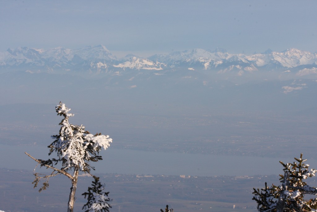 n_IMG_5274.jpg
