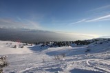 IMG_5230.JPG