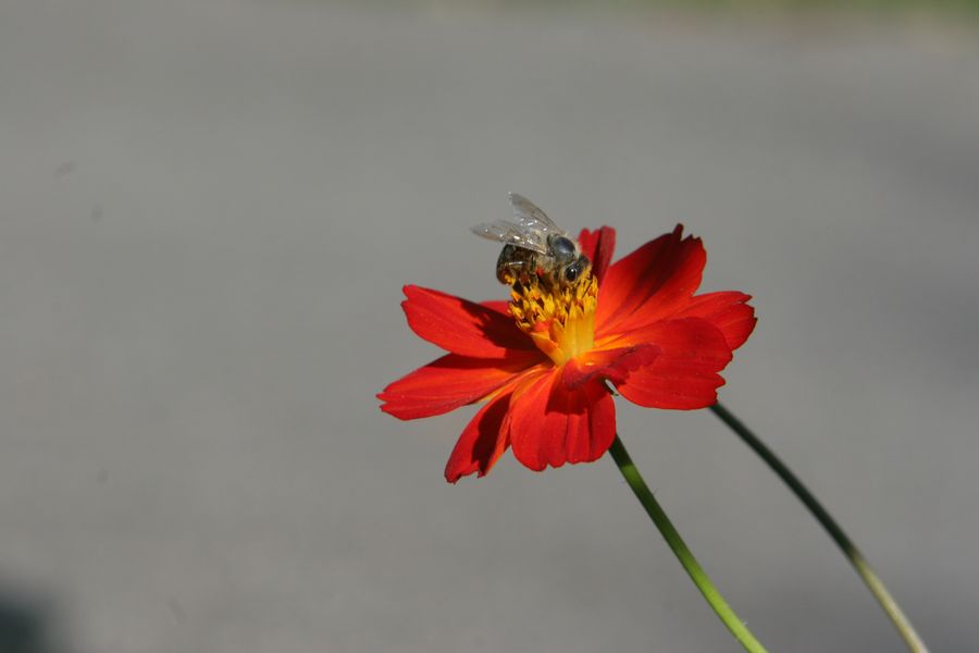 img_6636.jpg