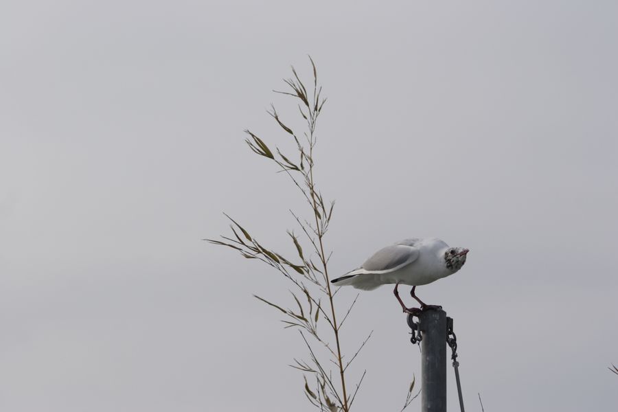 img_7342.jpg