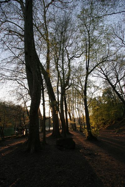 img_8446.jpg