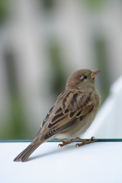 img_8764.jpg