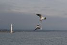 img_5691.jpg