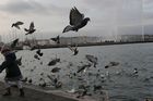 img_5727.jpg