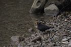 img_7281.jpg