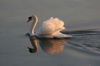 img_7603.jpg